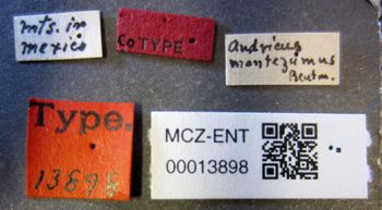 Media type: image;   Entomology 13898 Aspect: labels